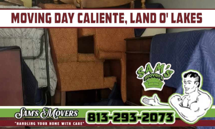 Caliente, Land O' Lakes Moving Day - Sam's Movers