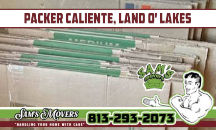 Caliente, Land O' Lakes Packer - Sam's Movers