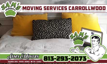 Carrollwood Moving Services