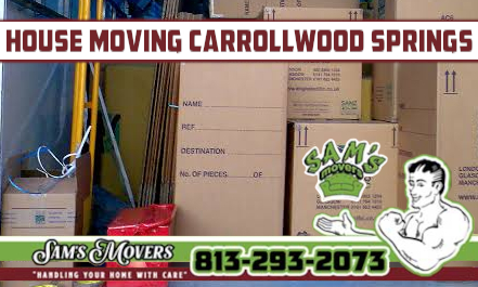 Carrollwood Springs House Moving - Sam's Movers