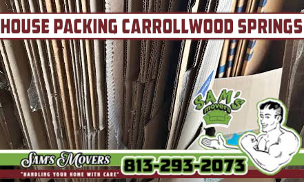 Carrollwood Springs House Packing - Sam's Movers