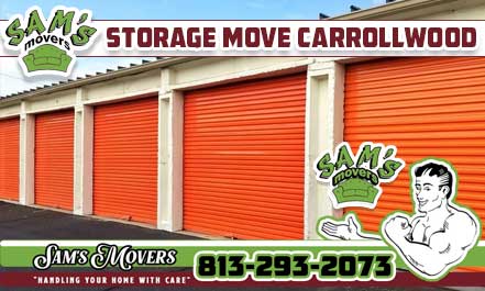 Carrollwood Storage Move