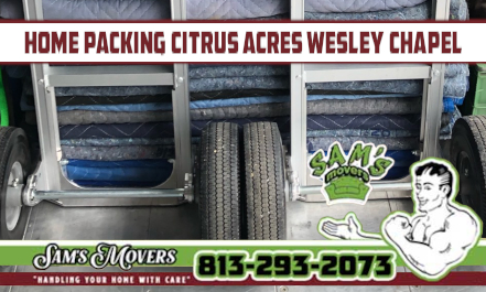 Citrus Acres, Wesley Chapel Home Packing - Sam's Movers