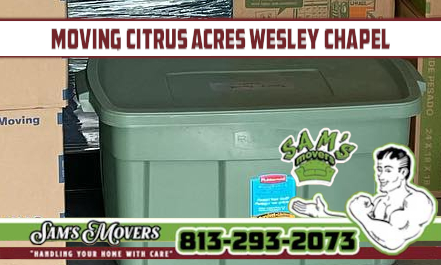 Citrus Acres, Wesley Chapel Moving - Sam's Movers
