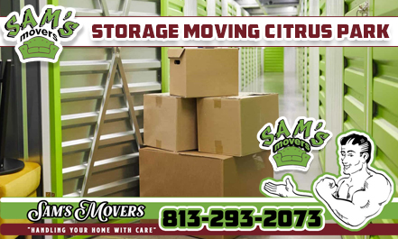 Citrus Park Storage Moving