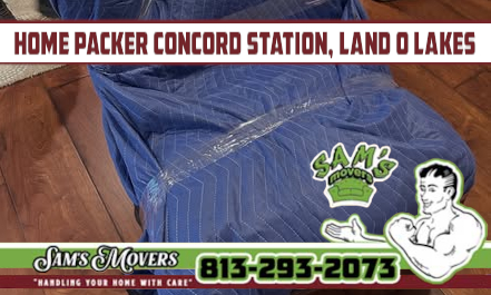 Concord Station, Land O Lakes Home Packer - Sam's Movers