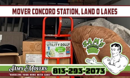 Concord Station, Land O Lakes Mover - Sam's Movers