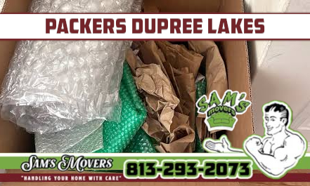 Packers Ashley Lakes, Odessa - Sam's Movers