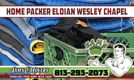 Eloian, Wesley Chapel Home Packer - Sam's Movers
