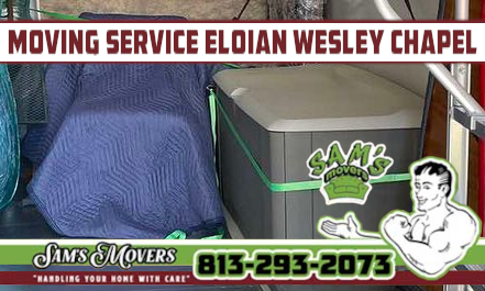 Eloian, Wesley Chapel Moving Service - Sam's Movers