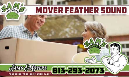 Feather Sound Mover - Sam's Movers