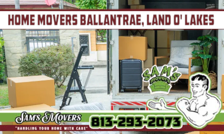 Home Movers Ballantrae, Land O' Lakes - Sam's Movers