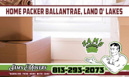 Home Packer Ballantrae, Land O' Lakes - Sam's Movers