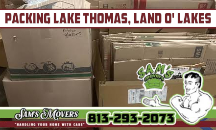 Lake Thomas, Land O' Lakes Packing - Sam's Movers