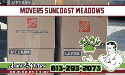 Movers Suncoast Meadows - Sam's Movers