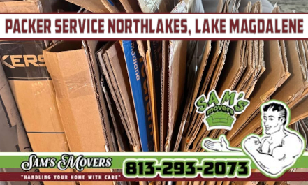 Northlakes, Lake Magdalene Packer Service - Sam's Movers