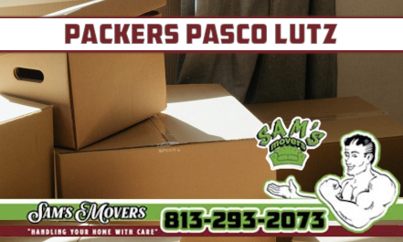 Packers Pasco Lutz - Sam's Movers