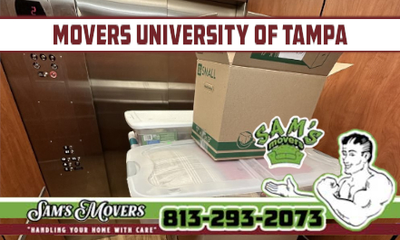 Movers University of Tampa - Sam's Movers