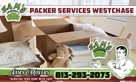 Westchase Packer Services
